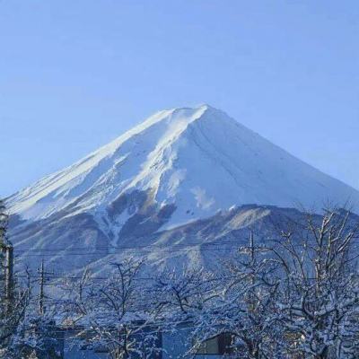 我在三国抓宝宝果盘版下载